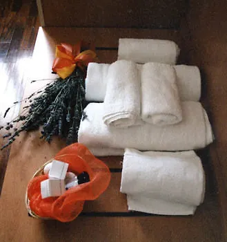 Aparthotel Giada Palace - Lucca